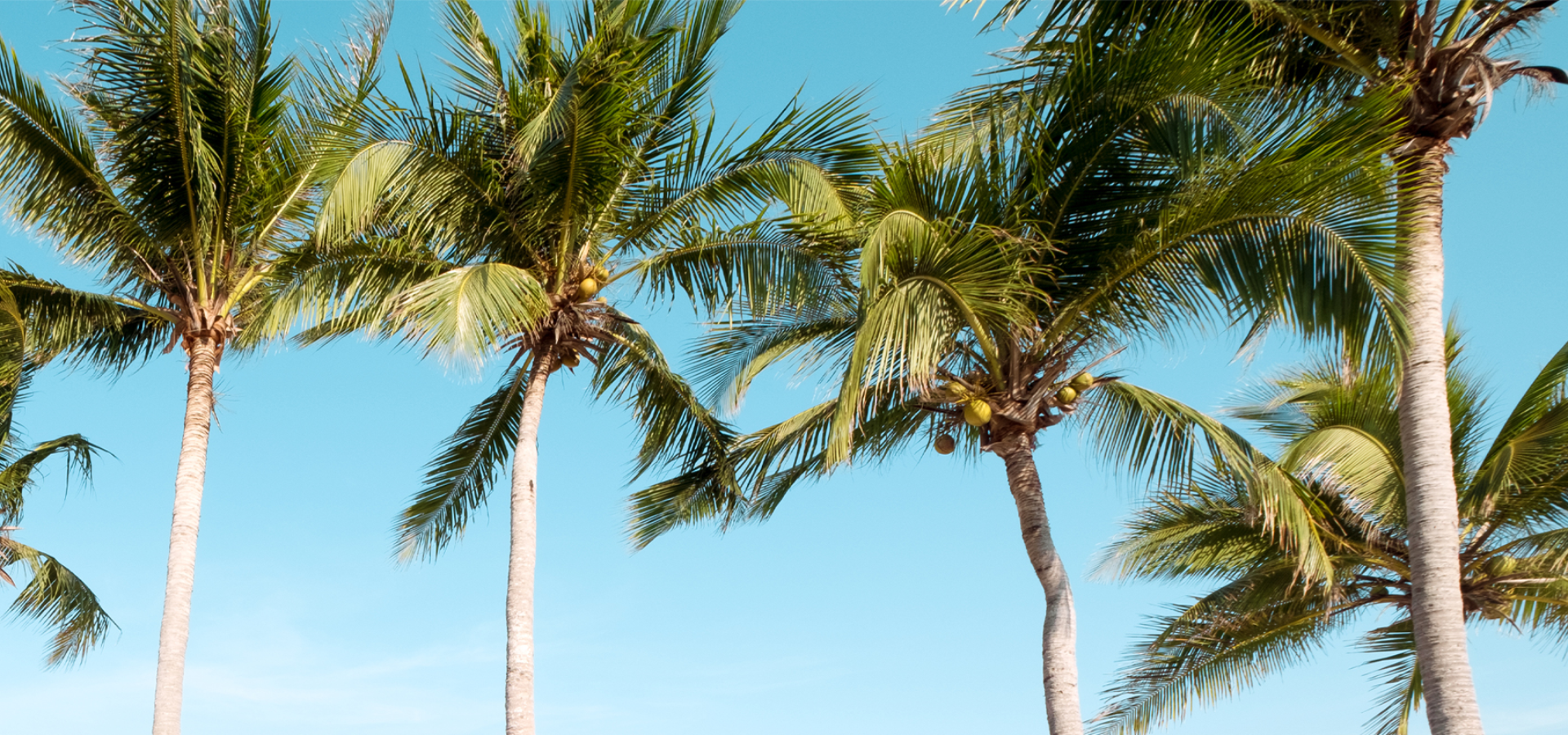 MMC Distribution - Mayotte Motor Corporation